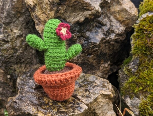 Häkelanleitung Kaktus mit Blüte im Topf
