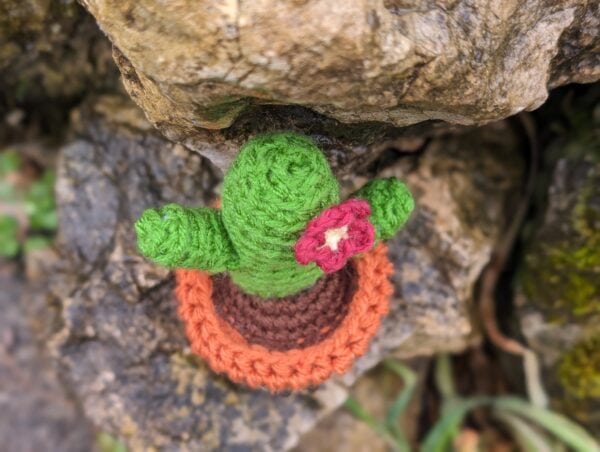 Häkelanleitung Kaktus mit Blüte im Topf – Bild 2