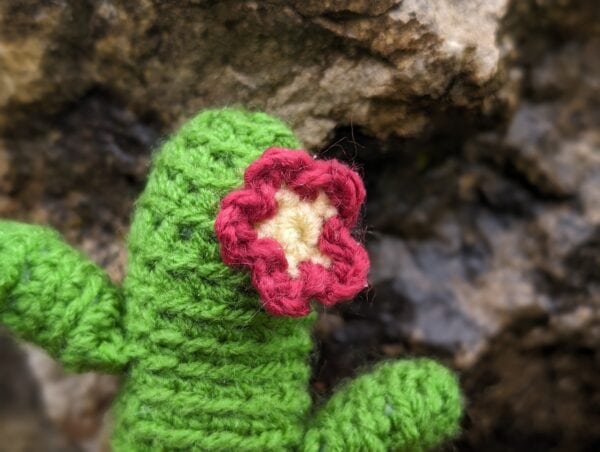 Häkelanleitung Kaktus mit Blüte im Topf – Bild 4
