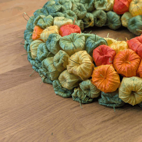 Trockenblumenkranz mit Lampionblumen – 32 cm – Bild 5