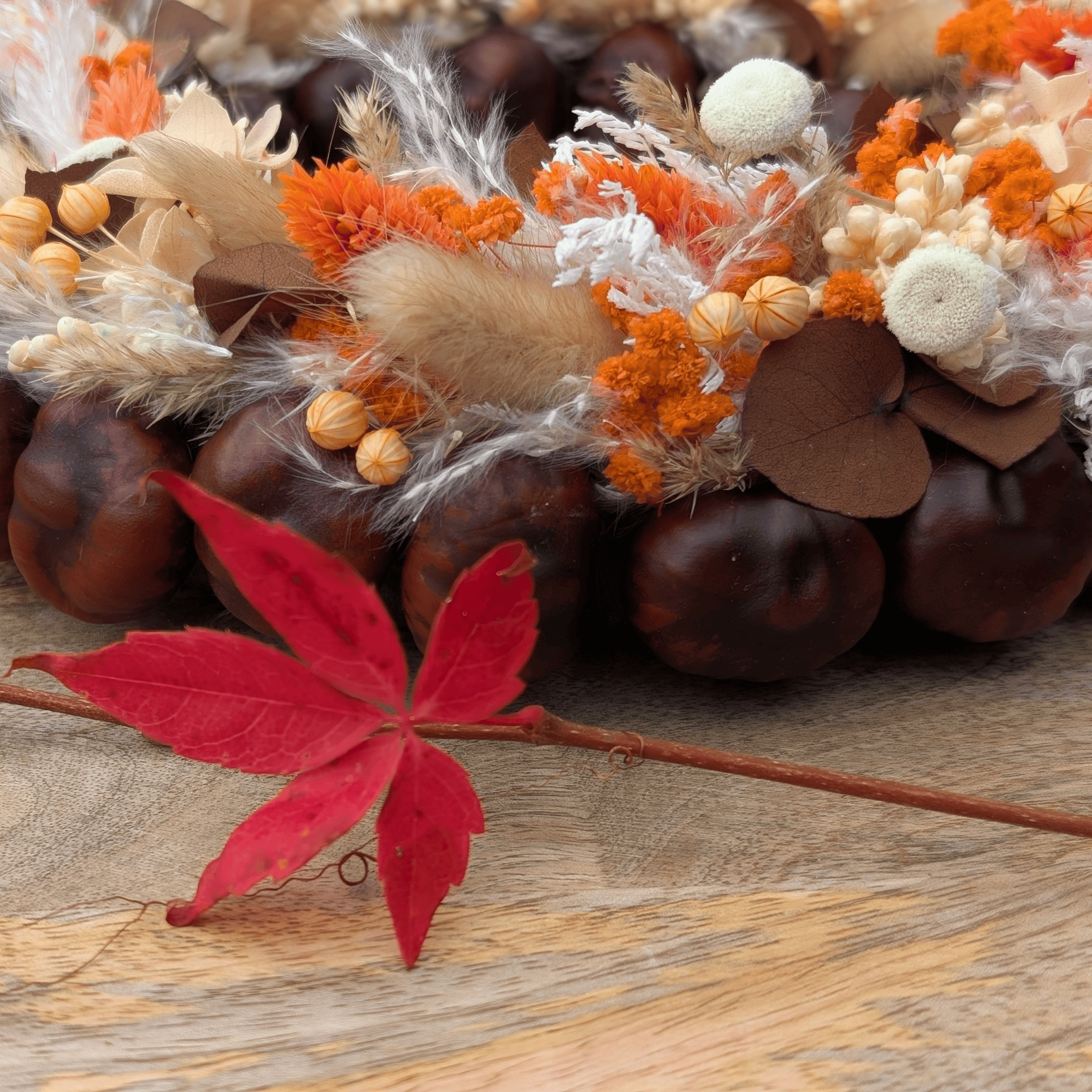 Trockenblumenkranz mit Kastanien, Botao & Phalaris - 23,5 cm – Bild 2