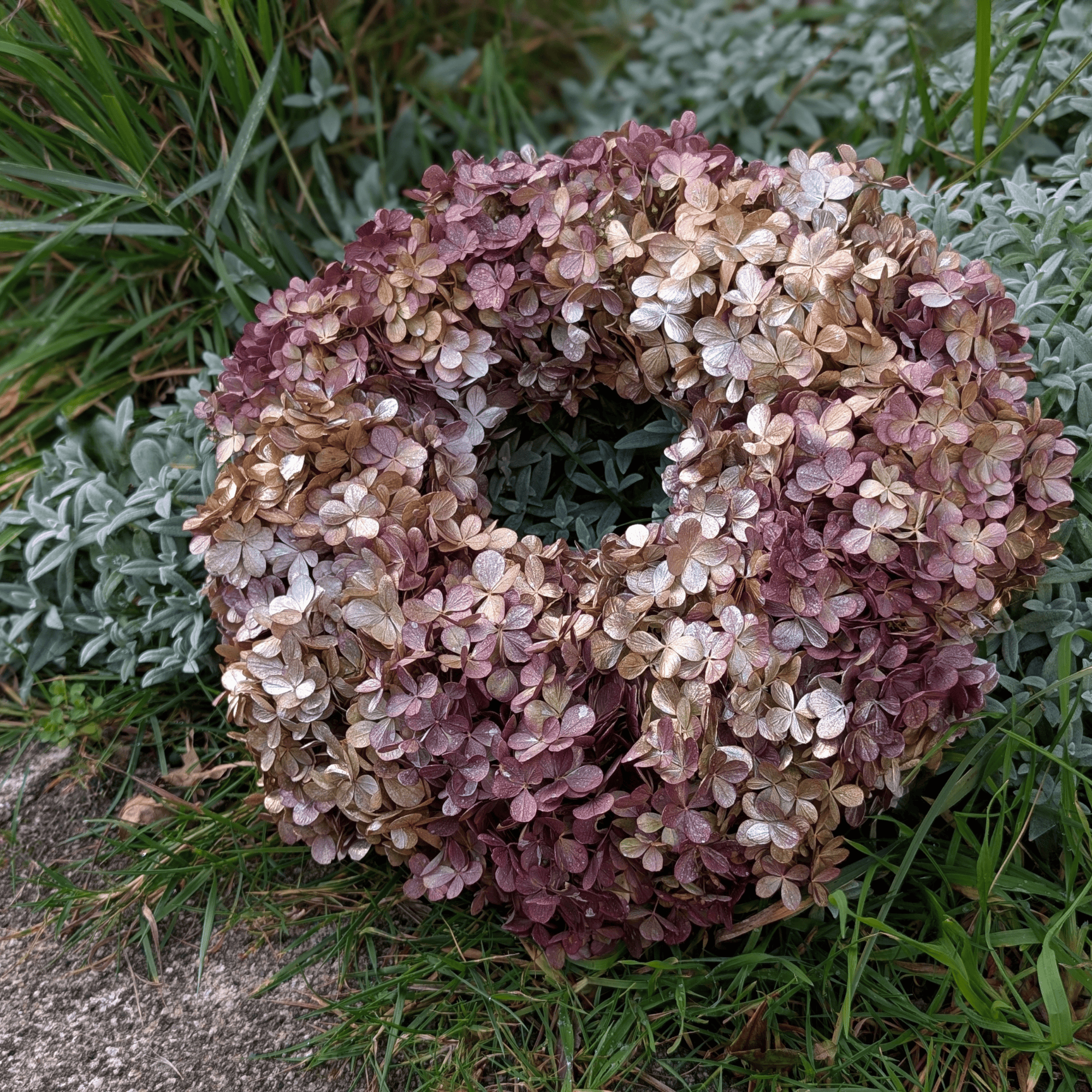 Trockenblumenkranz mit Rispenhortensie in Silber-Gold (30 cm) – Bild 3