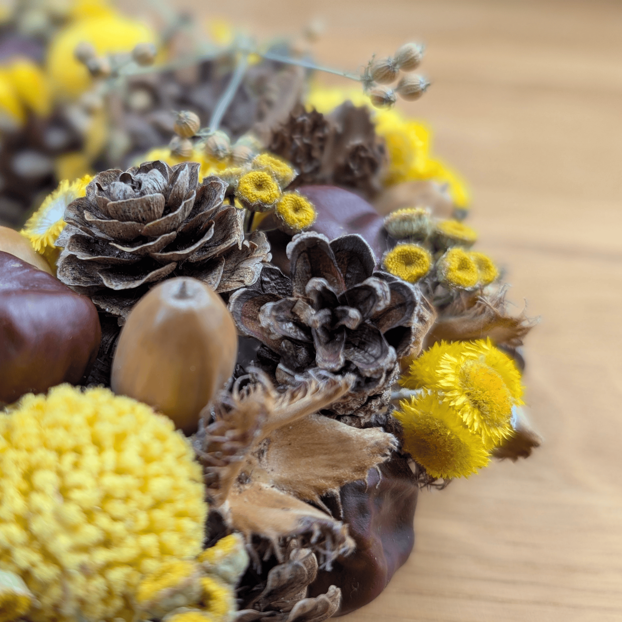 Trockenblumenkranz mit Kastanien, Graspedia & Eicheln (21 cm) – Bild 5