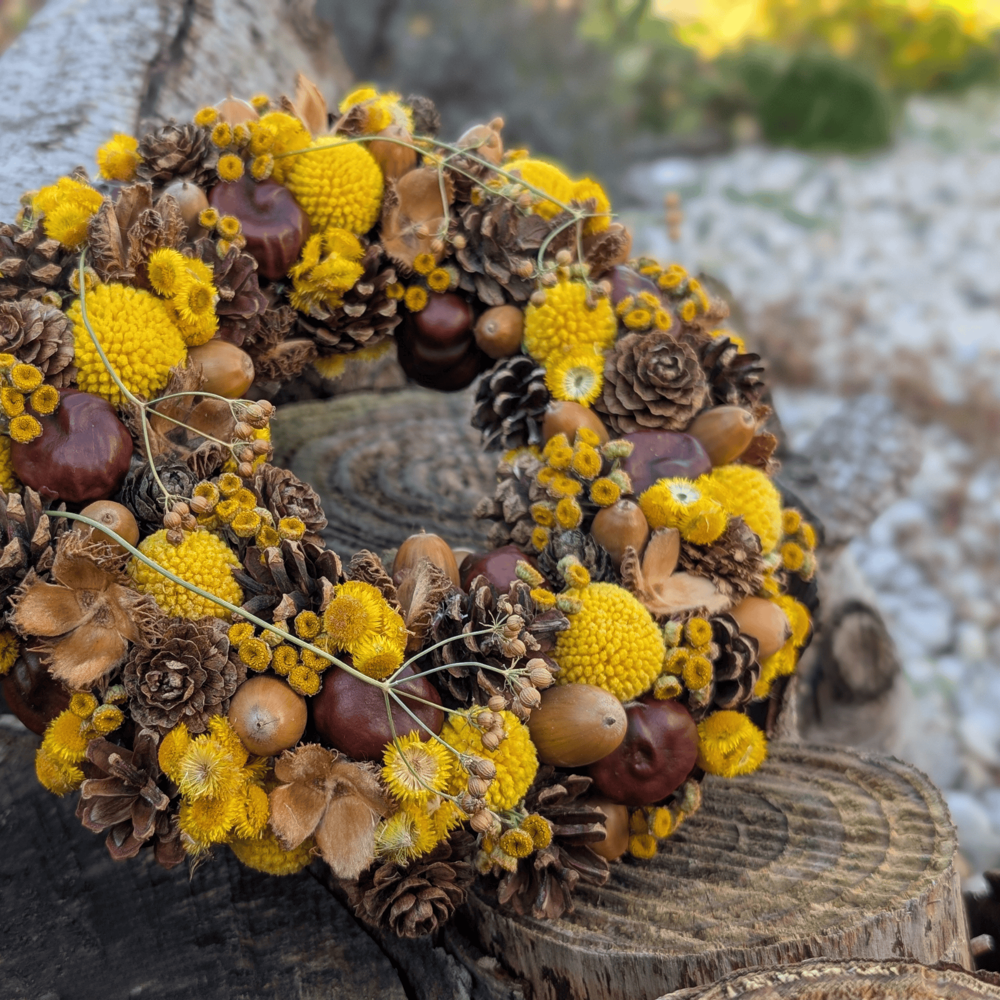 Trockenblumenkranz mit Kastanien, Graspedia & Eicheln (21 cm) – Bild 3