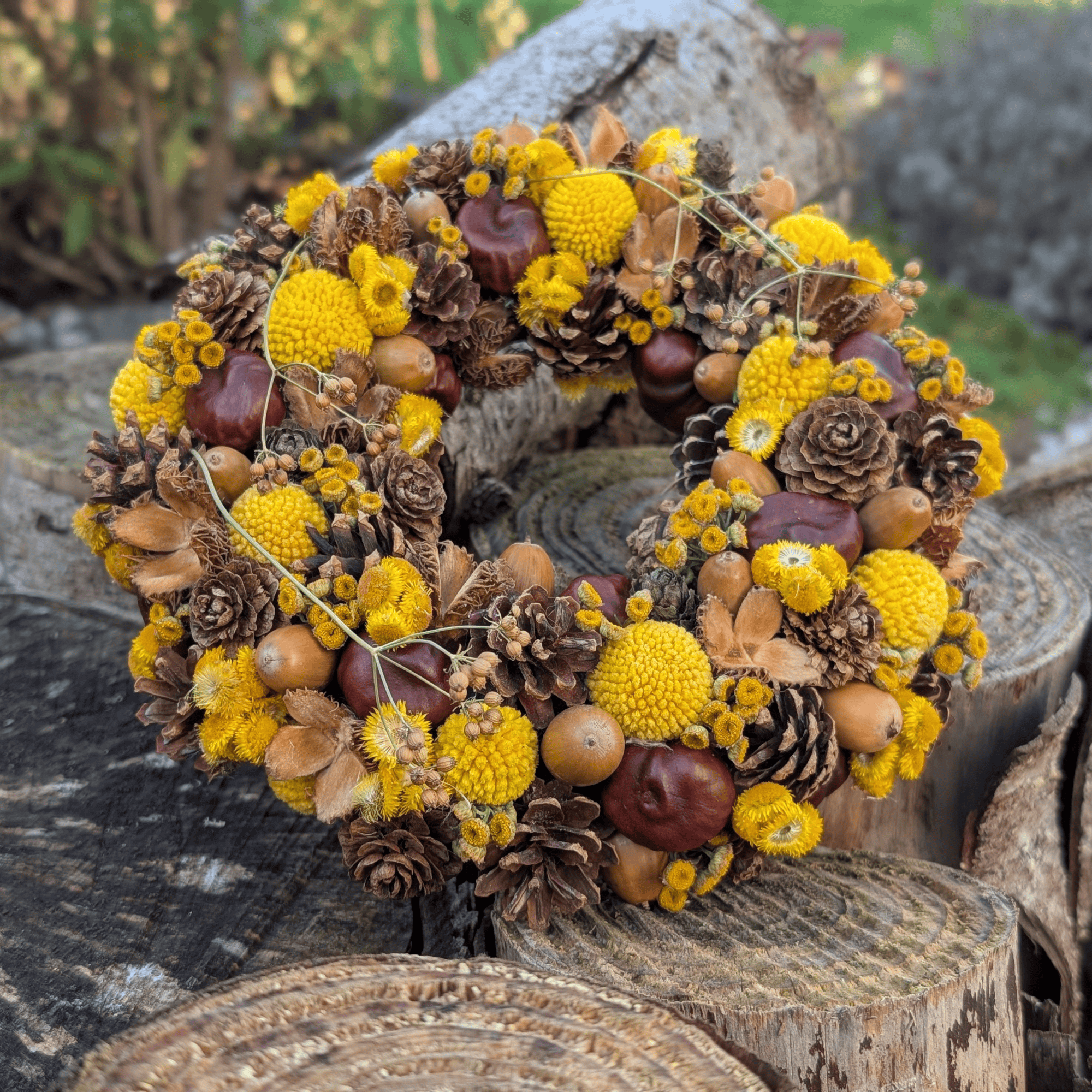 Trockenblumenkranz mit Kastanien, Graspedia & Eicheln (21 cm) – Bild 2