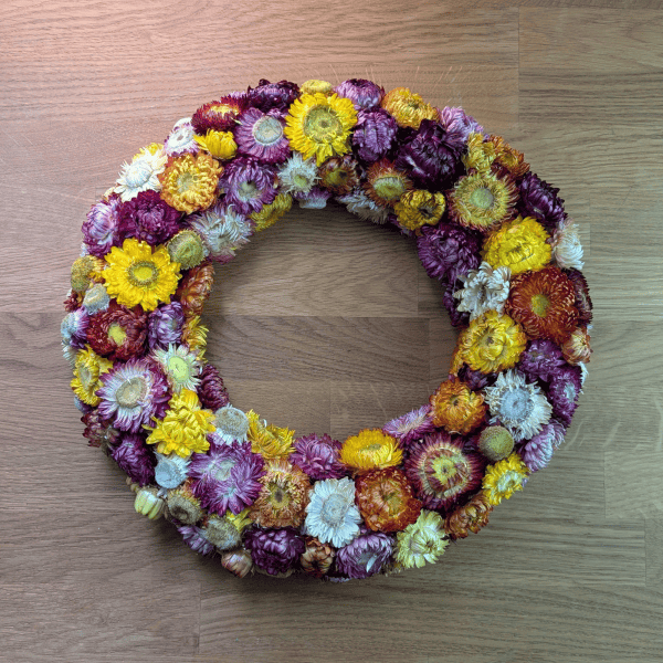 Strohblumenkranz in bunten Sommerfarben – 32 cm