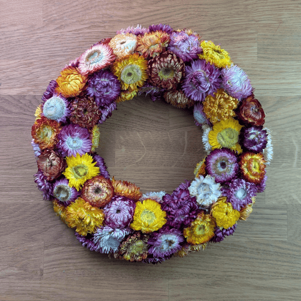 Strohblumenkranz in bunten Sommerfarben – 27 cm