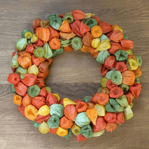 Trockenblumenkranz mit Physalis in Orange und Grün – 35 cm