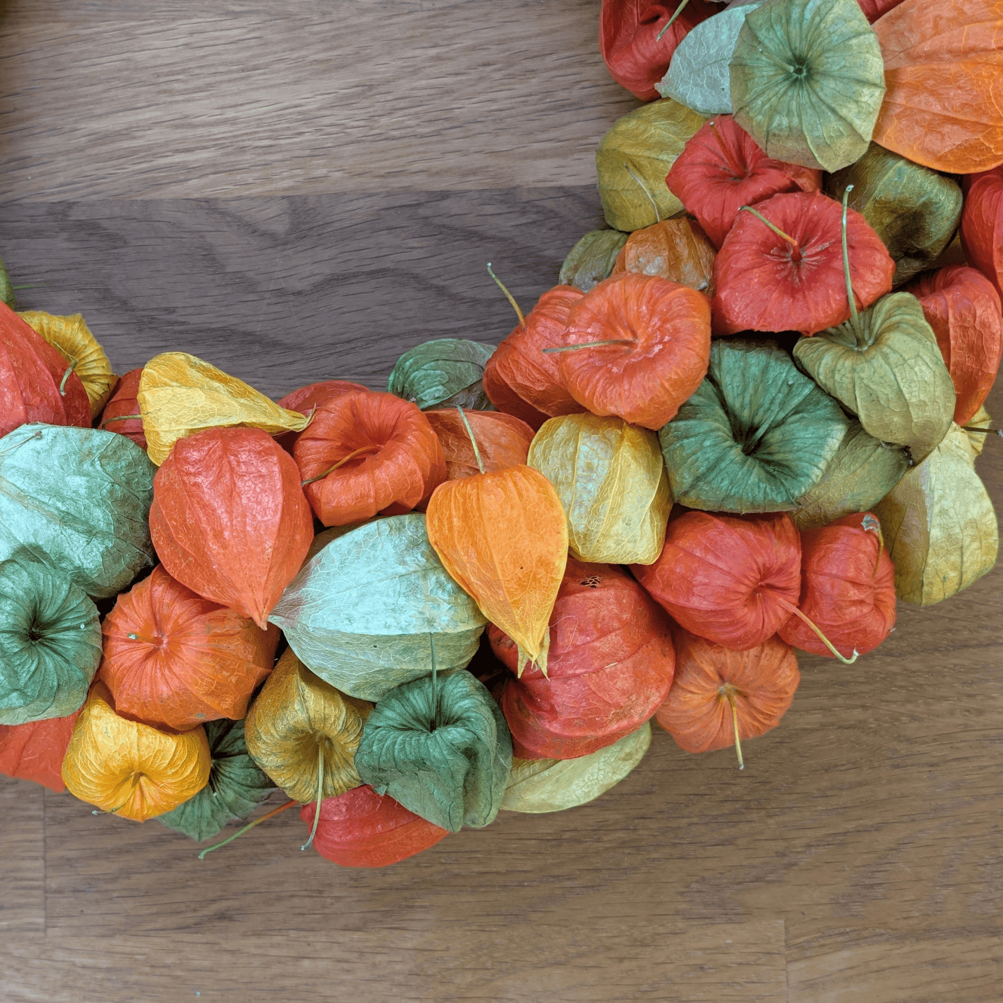 Trockenblumenkranz mit Physalis in Orange und Grün – 35 cm – Bild 4